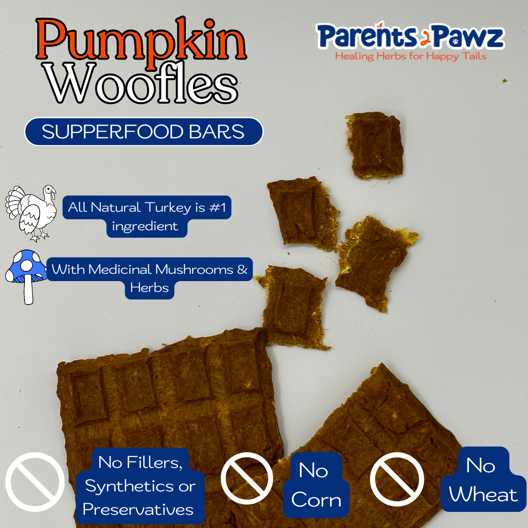 Pumpkin Woofles – Superfood Jerky Bars