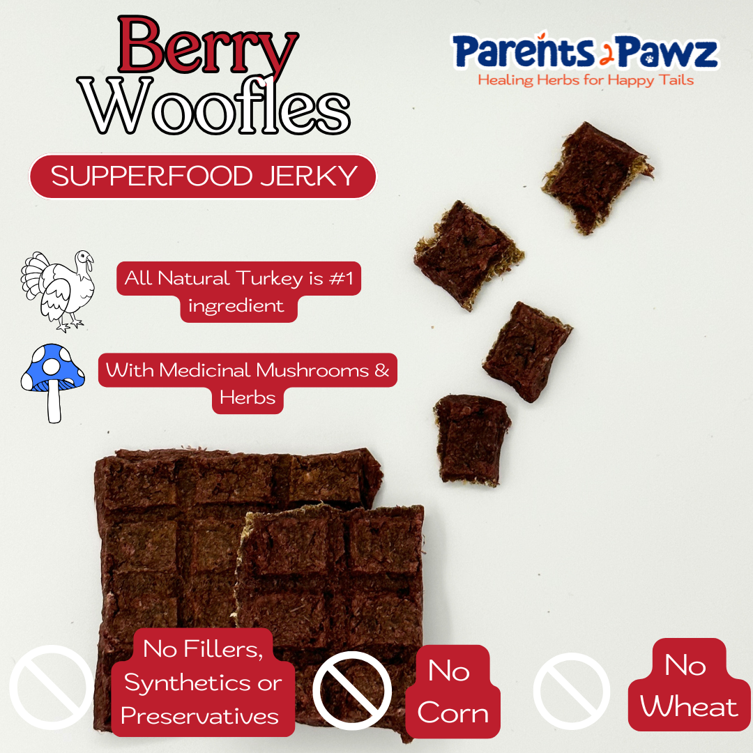 Berry Woofles – Superfood Jerky Bars