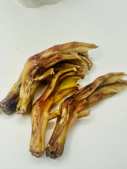 Duck Feet
